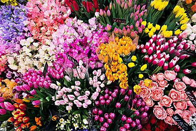 《小丑牌》与《潜水员戴夫》《巫师》等多款作品联动